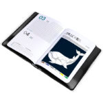 Diario scuola Be You Black 2026-2027 easy _1 - Abc La Cartoleria